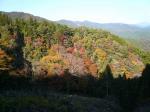 色づく嶺北の山