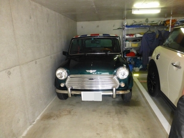 P1080548-モザイク