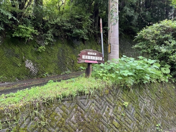 IMG_2473_20240720133851811.jp<span style=